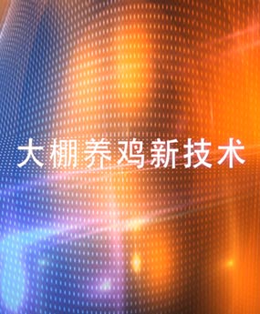 ¼